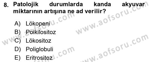 Temel Veteriner Histoloji ve Embriyoloji Dersi 2023 - 2024 Yılı (Final) Dönem Sonu Sınav Soruları 8. Soru