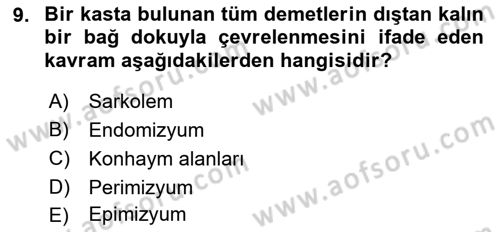 Temel Veteriner Histoloji ve Embriyoloji Dersi 2023 - 2024 Yılı (Final) Dönem Sonu Sınav Soruları 9. Soru
