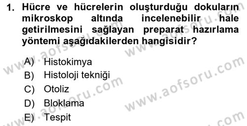 Temel Veteriner Histoloji ve Embriyoloji Dersi 2023 - 2024 Yılı Yaz Okulu Sınav Soruları 1. Soru