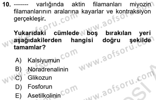 Temel Veteriner Histoloji ve Embriyoloji Dersi 2023 - 2024 Yılı Yaz Okulu Sınav Soruları 10. Soru
