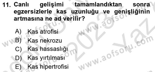 Temel Veteriner Histoloji ve Embriyoloji Dersi 2023 - 2024 Yılı Yaz Okulu Sınav Soruları 11. Soru
