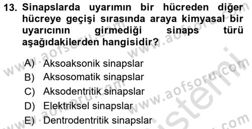 Temel Veteriner Histoloji ve Embriyoloji Dersi 2023 - 2024 Yılı Yaz Okulu Sınav Soruları 13. Soru