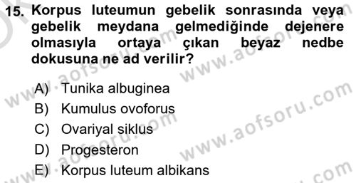 Temel Veteriner Histoloji ve Embriyoloji Dersi 2023 - 2024 Yılı Yaz Okulu Sınav Soruları 15. Soru