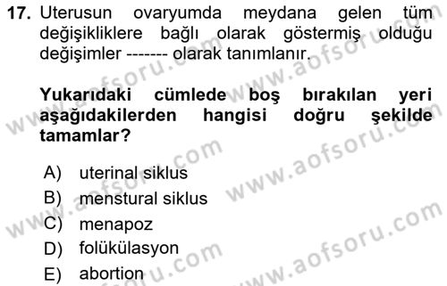 Temel Veteriner Histoloji ve Embriyoloji Dersi 2023 - 2024 Yılı Yaz Okulu Sınav Soruları 17. Soru