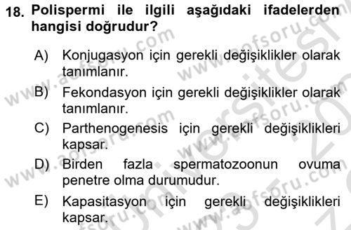 Temel Veteriner Histoloji ve Embriyoloji Dersi 2023 - 2024 Yılı Yaz Okulu Sınav Soruları 18. Soru