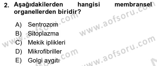 Temel Veteriner Histoloji ve Embriyoloji Dersi 2023 - 2024 Yılı Yaz Okulu Sınav Soruları 2. Soru