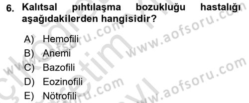 Temel Veteriner Histoloji ve Embriyoloji Dersi 2023 - 2024 Yılı Yaz Okulu Sınav Soruları 6. Soru