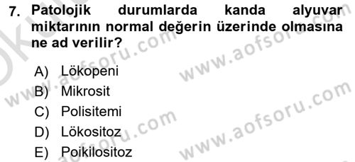 Temel Veteriner Histoloji ve Embriyoloji Dersi 2023 - 2024 Yılı Yaz Okulu Sınav Soruları 7. Soru