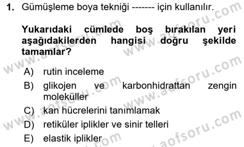 Temel Veteriner Histoloji ve Embriyoloji Dersi Ara Sınavı Deneme Sınav Soruları 1. Soru