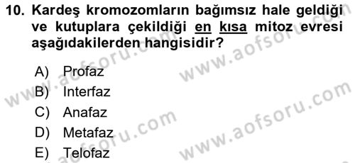 Temel Veteriner Histoloji ve Embriyoloji Dersi 2024 - 2025 Yılı (Vize) Ara Sınav Soruları 10. Soru