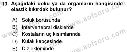 Temel Veteriner Histoloji ve Embriyoloji Dersi Ara Sınavı Deneme Sınav Soruları 13. Soru