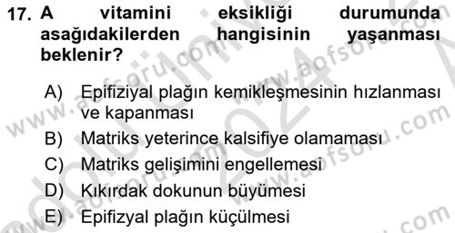Temel Veteriner Histoloji ve Embriyoloji Dersi 2024 - 2025 Yılı (Vize) Ara Sınav Soruları 17. Soru