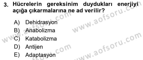 Temel Veteriner Histoloji ve Embriyoloji Dersi Ara Sınavı Deneme Sınav Soruları 3. Soru