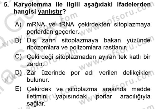 Temel Veteriner Histoloji ve Embriyoloji Dersi Ara Sınavı Deneme Sınav Soruları 5. Soru