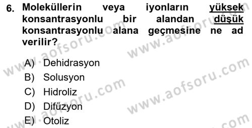 Temel Veteriner Histoloji ve Embriyoloji Dersi Ara Sınavı Deneme Sınav Soruları 6. Soru