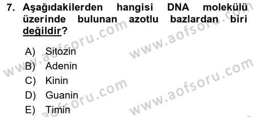 Temel Veteriner Histoloji ve Embriyoloji Dersi Ara Sınavı Deneme Sınav Soruları 7. Soru
