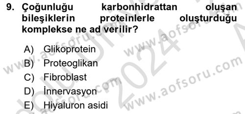 Temel Veteriner Histoloji ve Embriyoloji Dersi 2024 - 2025 Yılı (Vize) Ara Sınav Soruları 9. Soru