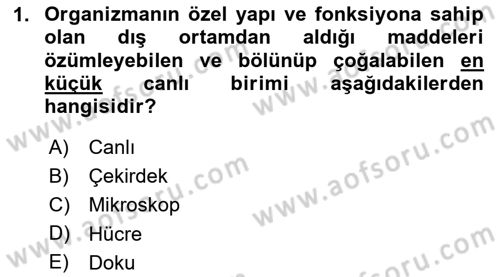 Temel Veteriner Histoloji ve Embriyoloji Dersi 2024 - 2025 Yılı (Final) Dönem Sonu Sınav Soruları 1. Soru