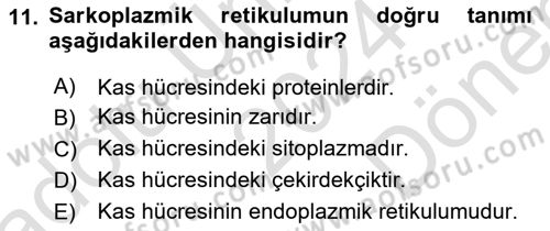 Temel Veteriner Histoloji ve Embriyoloji Dersi 2024 - 2025 Yılı (Final) Dönem Sonu Sınav Soruları 11. Soru