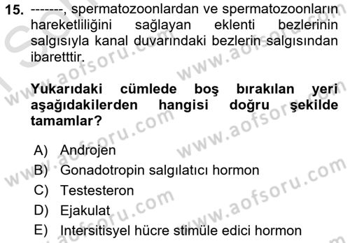 Temel Veteriner Histoloji ve Embriyoloji Dersi 2024 - 2025 Yılı (Final) Dönem Sonu Sınav Soruları 15. Soru