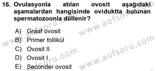 Temel Veteriner Histoloji ve Embriyoloji Dersi 2024 - 2025 Yılı (Final) Dönem Sonu Sınav Soruları 16. Soru