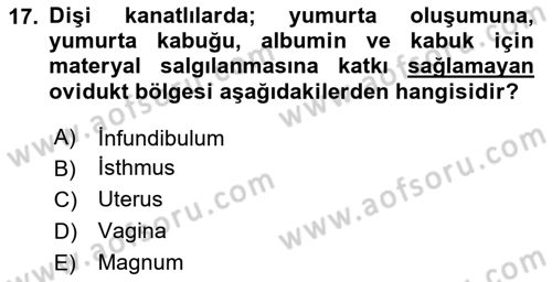 Temel Veteriner Histoloji ve Embriyoloji Dersi 2024 - 2025 Yılı (Final) Dönem Sonu Sınav Soruları 17. Soru