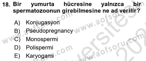 Temel Veteriner Histoloji ve Embriyoloji Dersi 2024 - 2025 Yılı (Final) Dönem Sonu Sınav Soruları 18. Soru