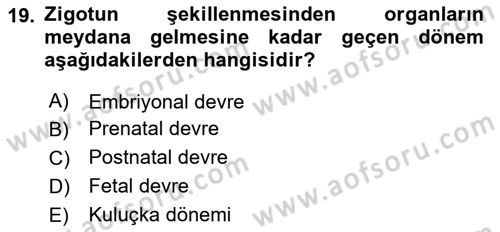 Temel Veteriner Histoloji ve Embriyoloji Dersi 2024 - 2025 Yılı (Final) Dönem Sonu Sınav Soruları 19. Soru