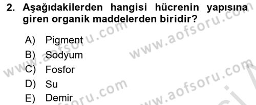 Temel Veteriner Histoloji ve Embriyoloji Dersi 2024 - 2025 Yılı (Final) Dönem Sonu Sınav Soruları 2. Soru