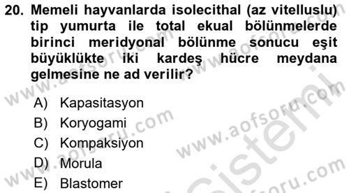 Temel Veteriner Histoloji ve Embriyoloji Dersi 2024 - 2025 Yılı (Final) Dönem Sonu Sınav Soruları 20. Soru