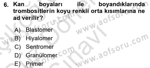 Temel Veteriner Histoloji ve Embriyoloji Dersi 2024 - 2025 Yılı (Final) Dönem Sonu Sınav Soruları 6. Soru
