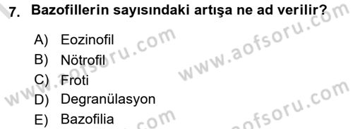 Temel Veteriner Histoloji ve Embriyoloji Dersi 2024 - 2025 Yılı (Final) Dönem Sonu Sınav Soruları 7. Soru