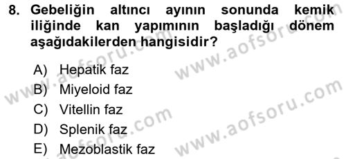 Temel Veteriner Histoloji ve Embriyoloji Dersi 2024 - 2025 Yılı (Final) Dönem Sonu Sınav Soruları 8. Soru