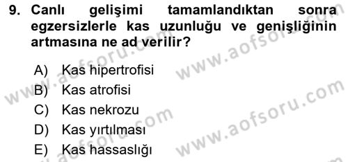 Temel Veteriner Histoloji ve Embriyoloji Dersi 2024 - 2025 Yılı (Final) Dönem Sonu Sınav Soruları 9. Soru