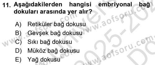 Temel Veteriner Histoloji ve Embriyoloji Dersi 2025 - 2026 Yılı (Vize) Ara Sınav Soruları 11. Soru