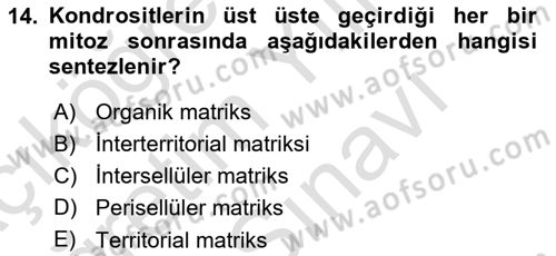 Temel Veteriner Histoloji ve Embriyoloji Dersi 2025 - 2026 Yılı (Vize) Ara Sınav Soruları 14. Soru