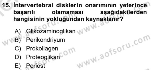 Temel Veteriner Histoloji ve Embriyoloji Dersi 2025 - 2026 Yılı (Vize) Ara Sınav Soruları 15. Soru