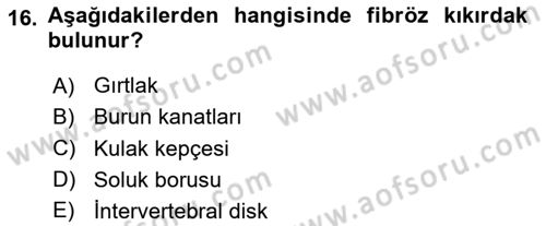 Temel Veteriner Histoloji ve Embriyoloji Dersi 2025 - 2026 Yılı (Vize) Ara Sınav Soruları 16. Soru