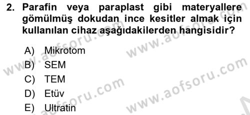 Temel Veteriner Histoloji ve Embriyoloji Dersi 2025 - 2026 Yılı (Vize) Ara Sınav Soruları 2. Soru