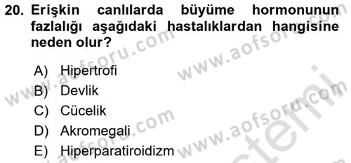 Temel Veteriner Histoloji ve Embriyoloji Dersi 2025 - 2026 Yılı (Vize) Ara Sınav Soruları 20. Soru