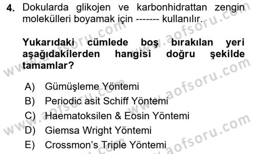 Temel Veteriner Histoloji ve Embriyoloji Dersi 2025 - 2026 Yılı (Vize) Ara Sınav Soruları 4. Soru