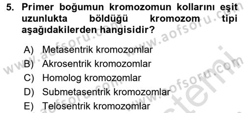 Temel Veteriner Histoloji ve Embriyoloji Dersi 2025 - 2026 Yılı (Vize) Ara Sınav Soruları 5. Soru