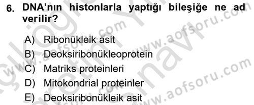 Temel Veteriner Histoloji ve Embriyoloji Dersi 2025 - 2026 Yılı (Vize) Ara Sınav Soruları 6. Soru