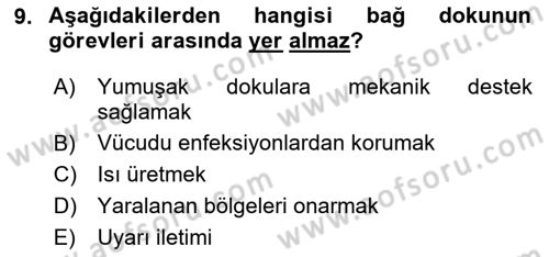 Temel Veteriner Histoloji ve Embriyoloji Dersi 2025 - 2026 Yılı (Vize) Ara Sınav Soruları 9. Soru