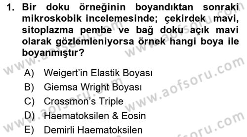 Temel Veteriner Histoloji ve Embriyoloji Dersi 2025 - 2026 Yılı (Final) Dönem Sonu Sınav Soruları 1. Soru