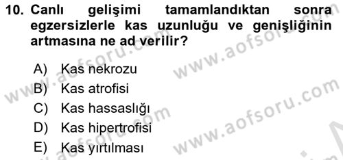 Temel Veteriner Histoloji ve Embriyoloji Dersi 2025 - 2026 Yılı (Final) Dönem Sonu Sınav Soruları 10. Soru
