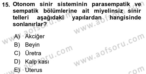 Temel Veteriner Histoloji ve Embriyoloji Dersi 2025 - 2026 Yılı (Final) Dönem Sonu Sınav Soruları 15. Soru