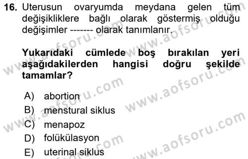 Temel Veteriner Histoloji ve Embriyoloji Dersi 2025 - 2026 Yılı (Final) Dönem Sonu Sınav Soruları 16. Soru