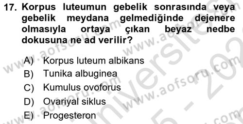 Temel Veteriner Histoloji ve Embriyoloji Dersi 2025 - 2026 Yılı (Final) Dönem Sonu Sınav Soruları 17. Soru