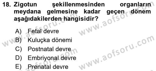 Temel Veteriner Histoloji ve Embriyoloji Dersi 2025 - 2026 Yılı (Final) Dönem Sonu Sınav Soruları 18. Soru